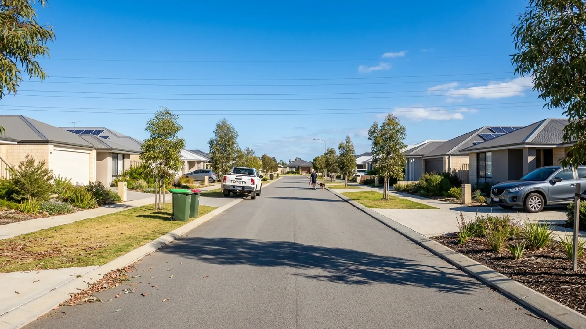 Building and pest inspections in Banksia Grove Perth