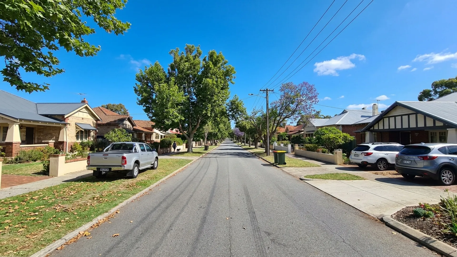 Building and pest inspections in Wembley Perth